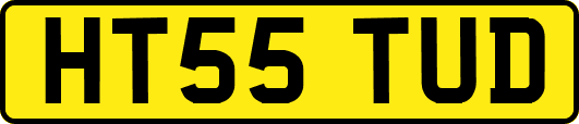 HT55TUD