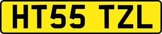 HT55TZL
