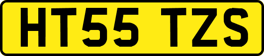 HT55TZS