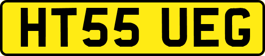 HT55UEG