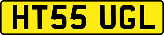 HT55UGL