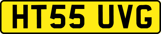 HT55UVG