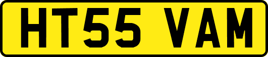 HT55VAM