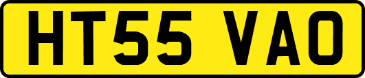 HT55VAO