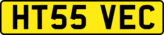 HT55VEC