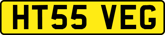 HT55VEG