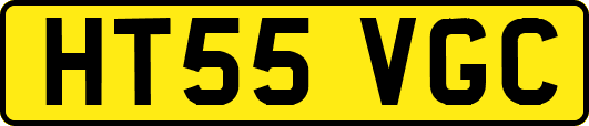 HT55VGC