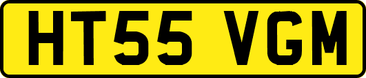 HT55VGM