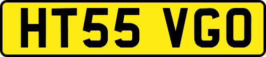 HT55VGO