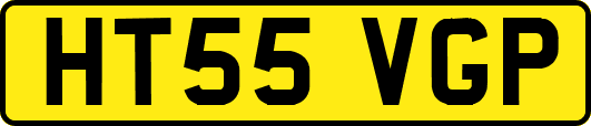 HT55VGP
