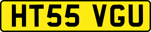 HT55VGU