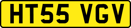 HT55VGV