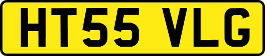 HT55VLG