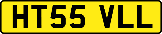 HT55VLL