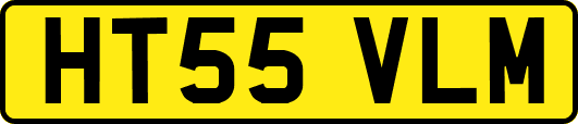 HT55VLM