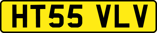 HT55VLV