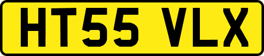 HT55VLX