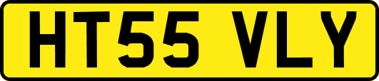 HT55VLY