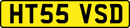 HT55VSD