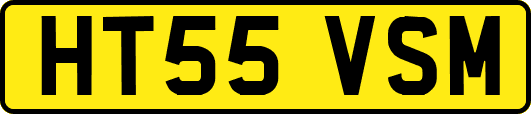HT55VSM