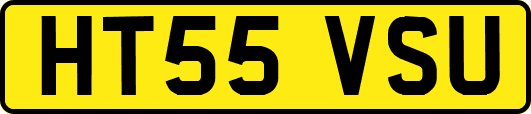 HT55VSU
