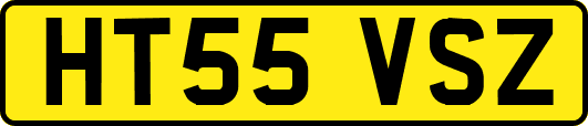 HT55VSZ