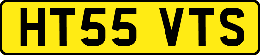 HT55VTS