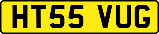 HT55VUG