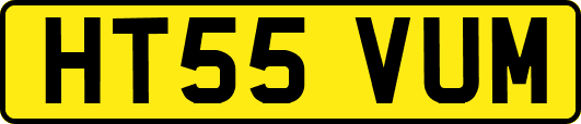 HT55VUM