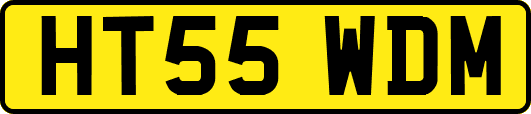 HT55WDM