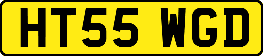 HT55WGD