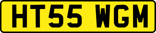 HT55WGM