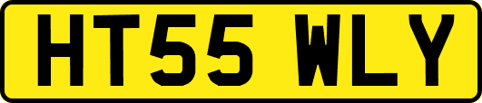 HT55WLY