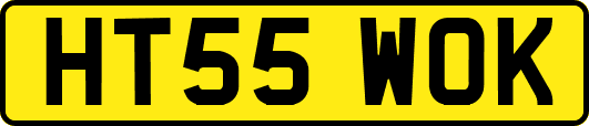 HT55WOK