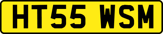 HT55WSM