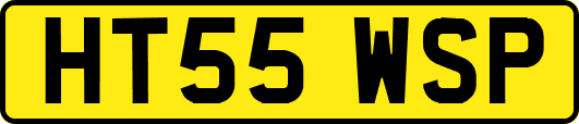 HT55WSP