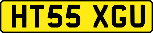 HT55XGU