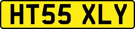 HT55XLY