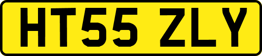 HT55ZLY