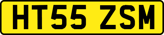 HT55ZSM