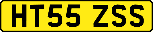 HT55ZSS