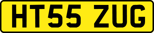 HT55ZUG