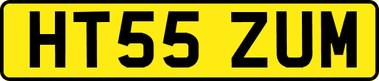HT55ZUM