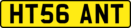 HT56ANT
