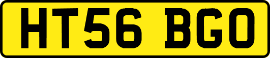HT56BGO