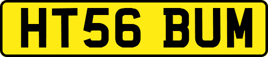HT56BUM