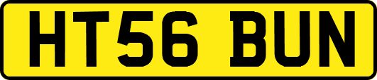 HT56BUN
