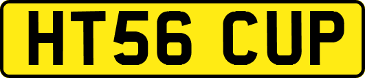 HT56CUP