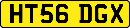 HT56DGX