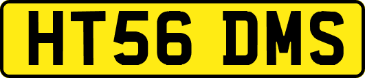 HT56DMS